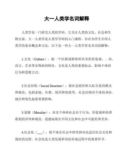 大一人类学名词解释
