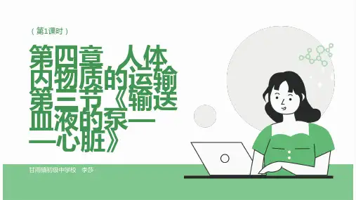 心脏的结构和功能说课课件