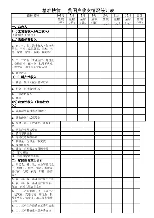精准扶贫   贫困户收支调查情况统计表
