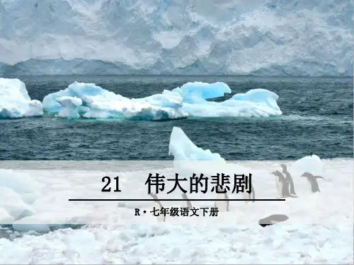 人教部编版七年级语文下册第21课《伟大的悲剧》精美课件