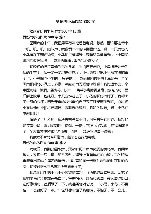精选受伤的小鸟作文300字10篇