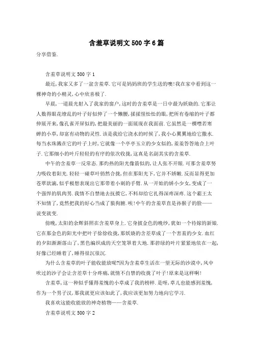 含羞草说明文500字6篇