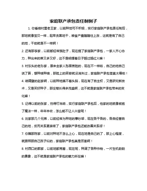 家庭联产承包责任制例子
