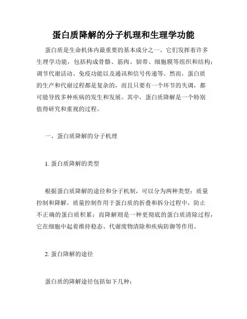 蛋白质降解的分子机理和生理学功能