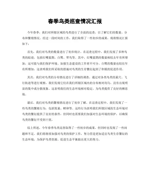 春季鸟类巡查情况汇报