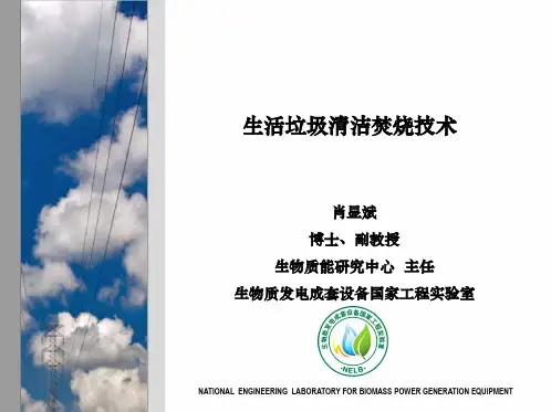 生活垃圾清洁焚烧技术_华电生物质