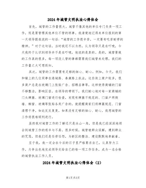 2024年城管文明执法心得体会(2篇)