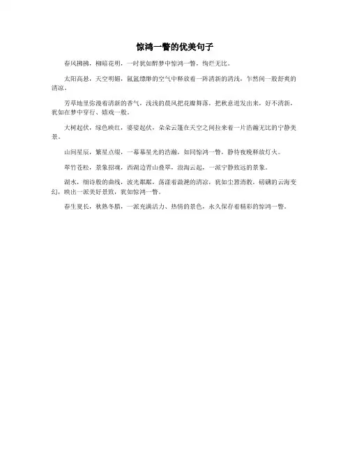 惊鸿一瞥的优美句子