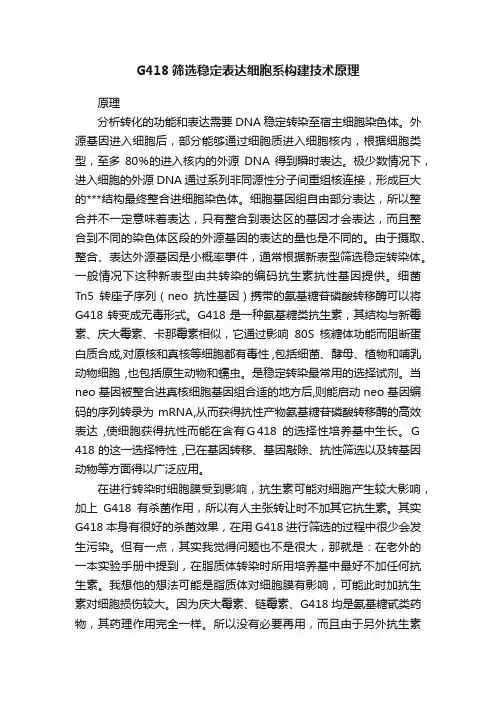 G418筛选稳定表达细胞系构建技术原理
