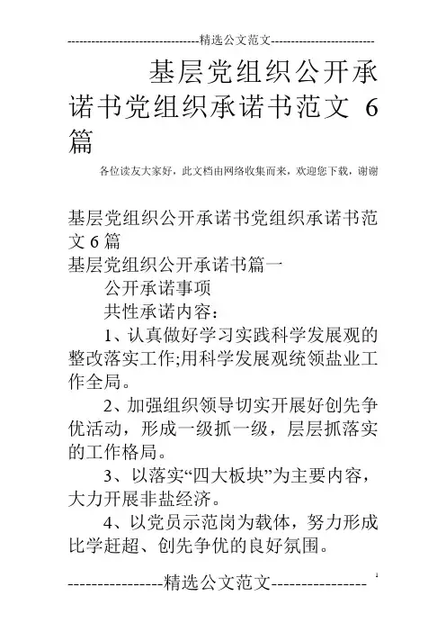 基层党组织公开承诺书党组织承诺书范文6篇