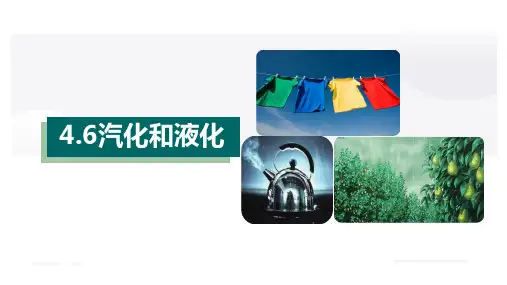 4.6汽化和液化(课件)七年级科学上册(浙教版)