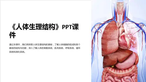 《人体生理结构》课件