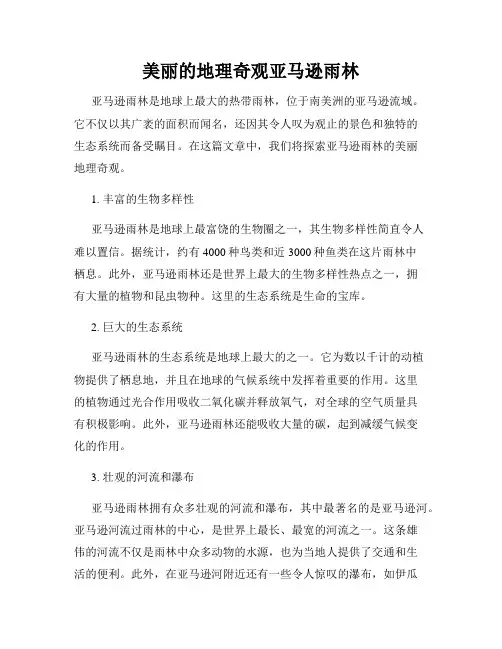 美丽的地理奇观亚马逊雨林