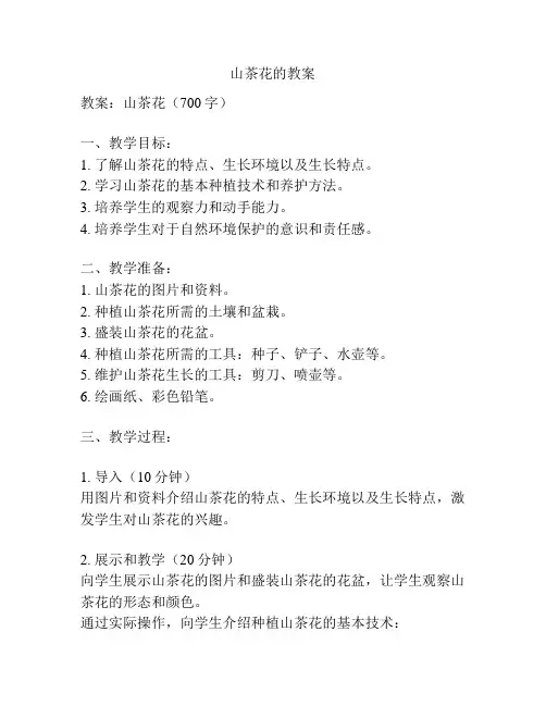 山茶花的教案