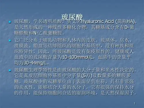 玻尿酸系列ppt课件