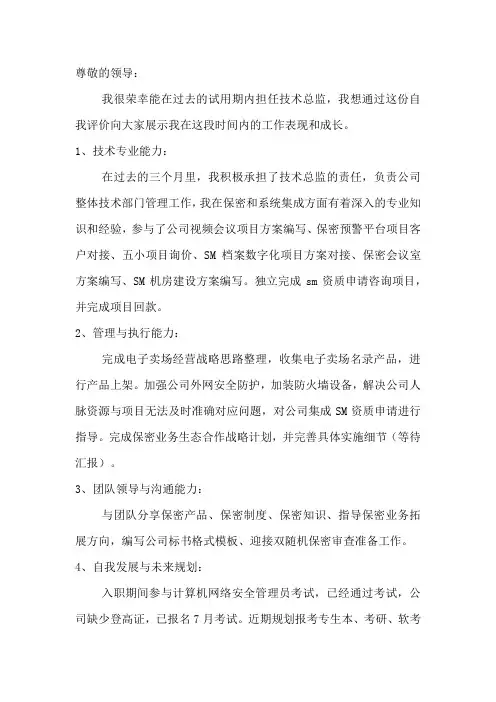 技术总监试用期自我评价
