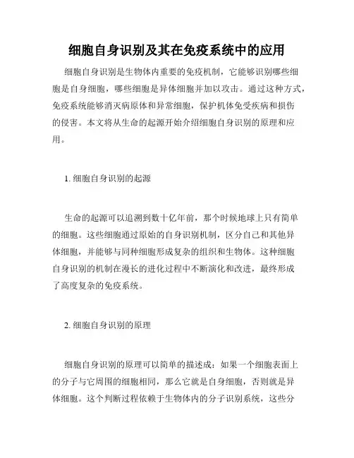 细胞自身识别及其在免疫系统中的应用