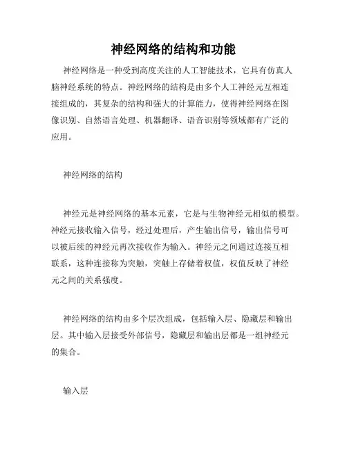 神经网络的结构和功能