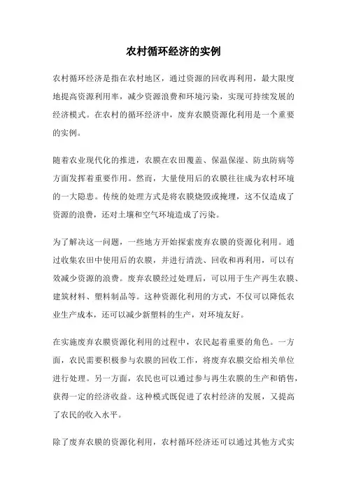 农村循环经济的实例