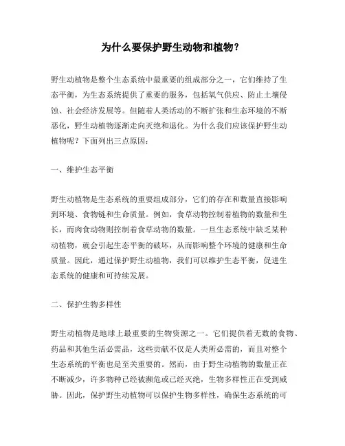 为什么要保护野生动物和植物？