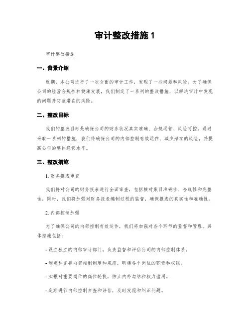 审计整改措施1