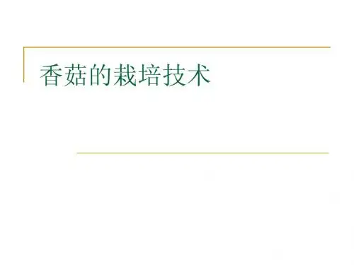 香菇的栽培技术