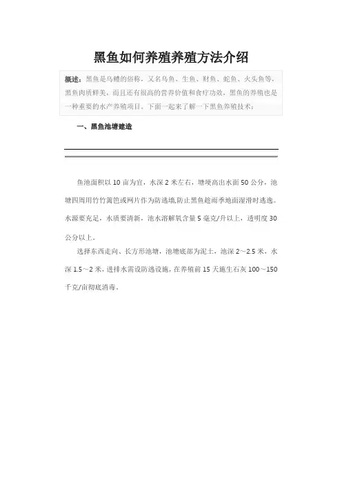 黑鱼如何养殖养殖方法介绍