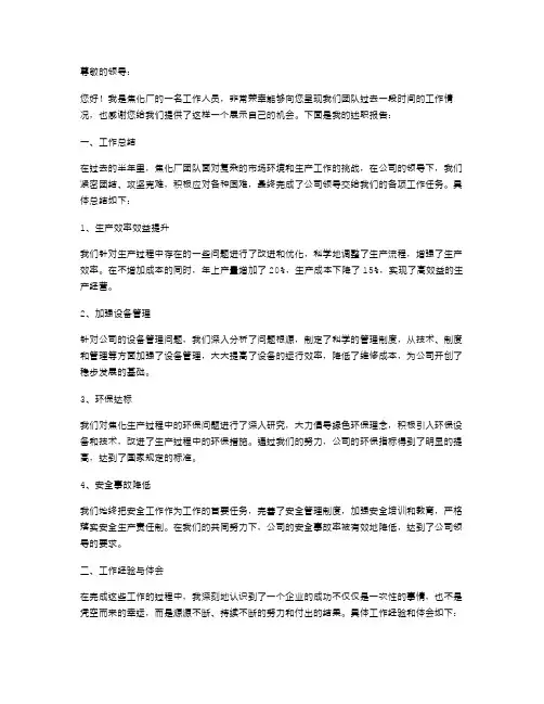 焦化厂个人述职报告