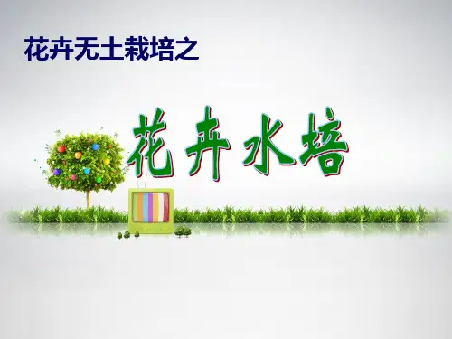 无土栽培之花卉水培