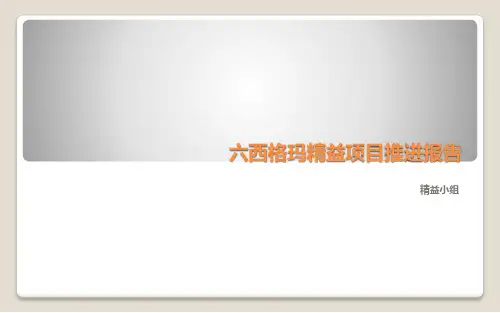 六西格玛精益项目推进报告