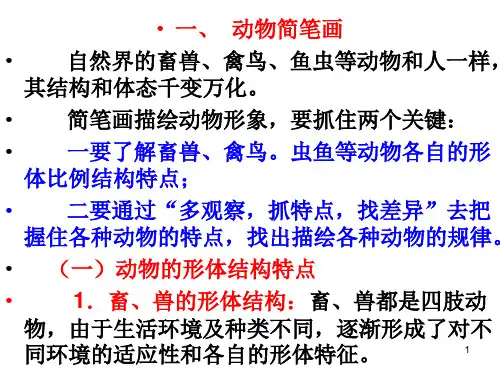 简笔画介绍大全