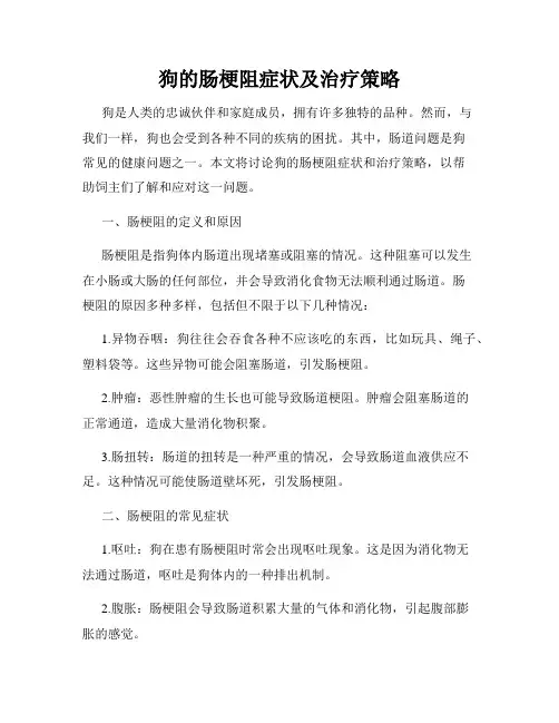 狗的肠梗阻症状及治疗策略