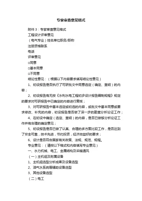 专家审查意见格式