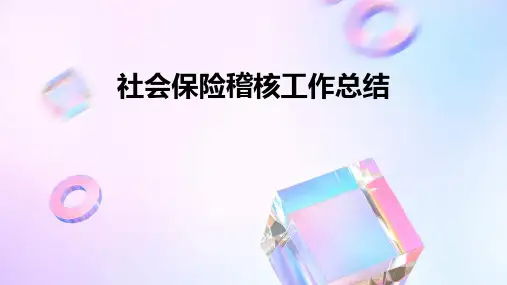 社会保险稽核工作总结PPT