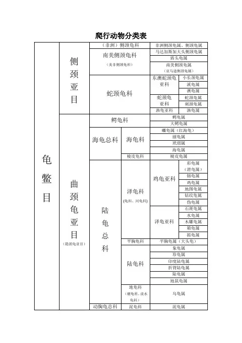 爬行动物分类表表