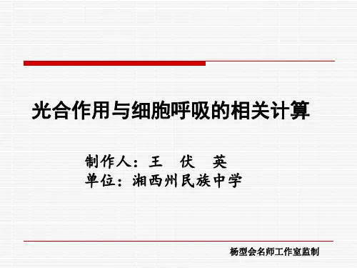 光合作用和呼吸作用的相关计算
