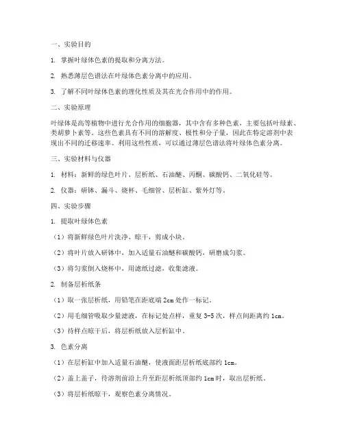 叶绿体色素分离实验报告