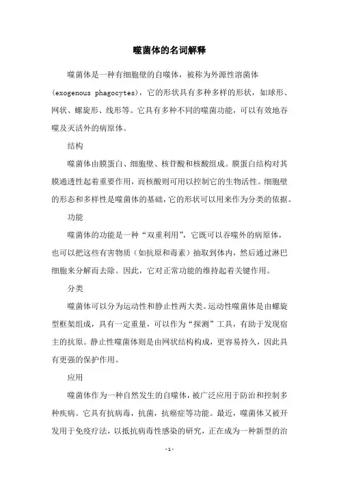 噬菌体的名词解释