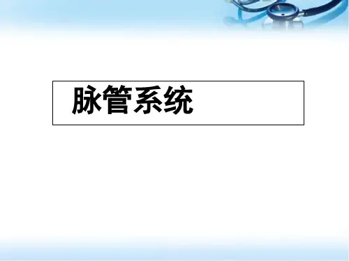脉管系统精品PPT课件