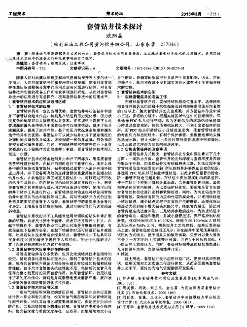 套管钻井技术探讨