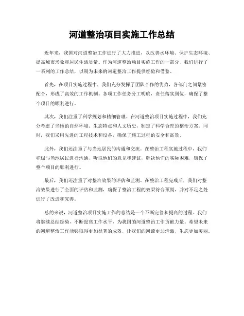 河道整治项目实施工作总结