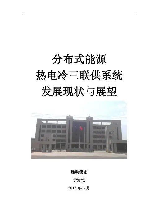 分布式能源热电冷三联供系统发展现状与展望