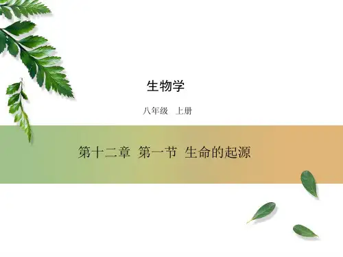 12 生命的起源和生物的进化-八年级生物上册课件(京改版)