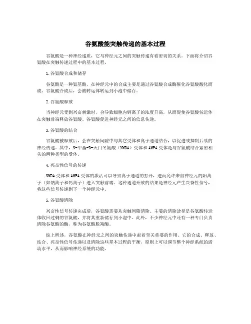 谷氨酸能突触传递的基本过程