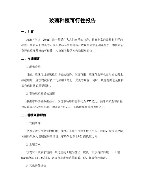 玫瑰种植可行性报告