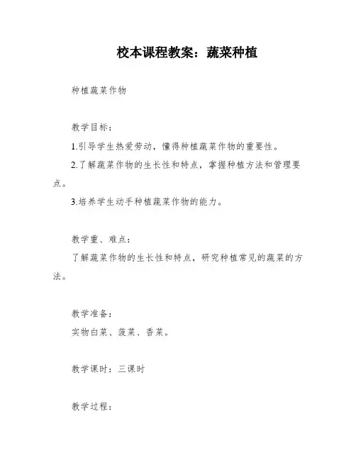 校本课程教案：蔬菜种植