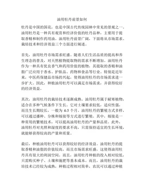 油用牡丹前景如何