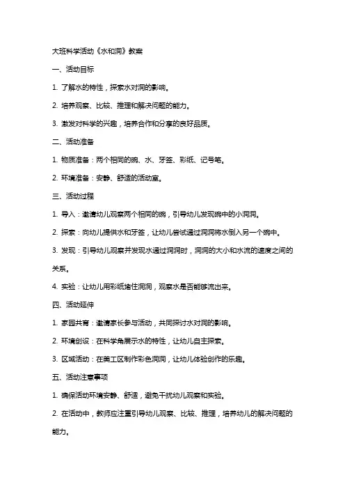 大班科学活动《水和洞 》教案