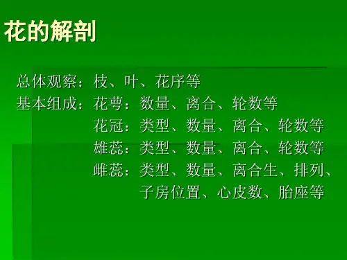 花解剖检索表--生物奥赛辅导
