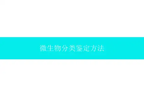 微生物分类鉴定方法